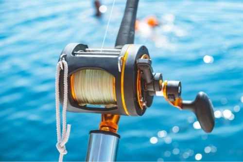 Cleaning Fishing Reels