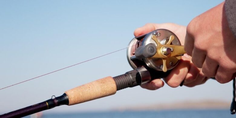 Best Catfish Rod and Reel Combo