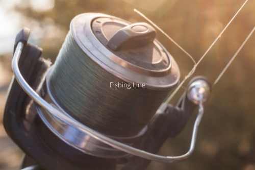 Best Fishing Line for Bass